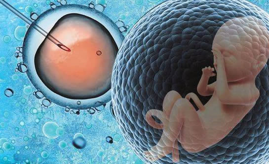 男性不育少精子症可以做试管婴儿吗