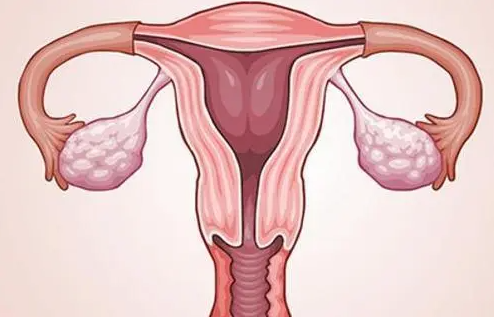 女性不孕后多久建议做试管移植胚胎?