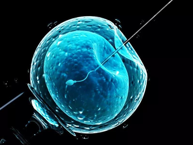 输卵管堵塞是怎么引起的呢？