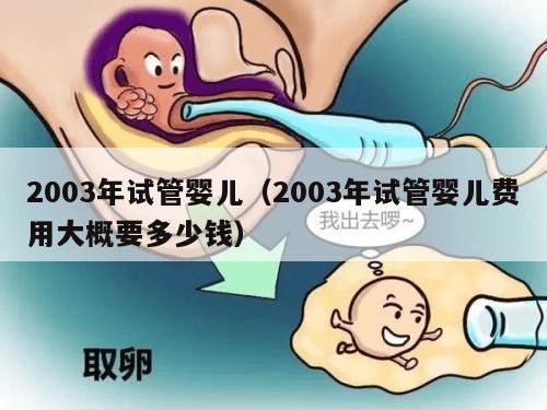 2003年试管婴儿（2003年试管婴儿费用大概要多少钱）