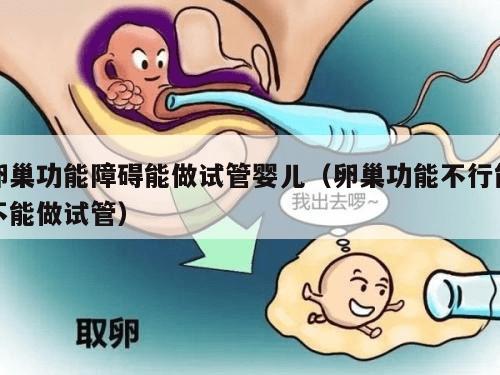 卵巢功能障碍能做试管婴儿（卵巢功能不行能不能做试管）
