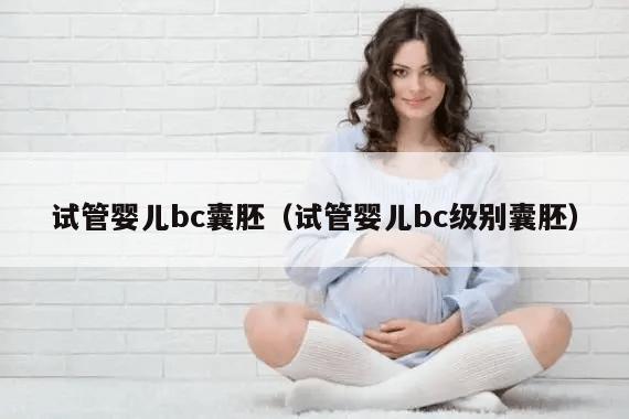 试管婴儿bc囊胚（试管婴儿bc级别囊胚）