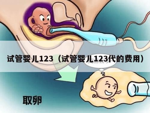 试管婴儿123（试管婴儿123代的费用）